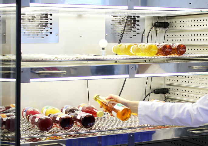 Blick in einen Konstantklimaschrank mit Getränkeflaschen. Eine Hand legt eine weitere Flasche in den Schrank.