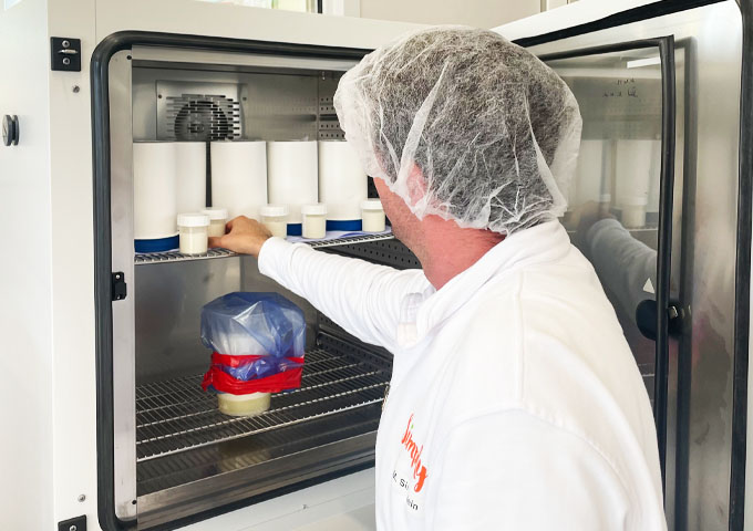 A lab employee places samples in the climate chamber.