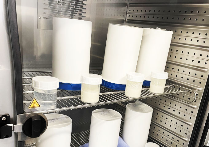 View of samples in an open climate chamber.