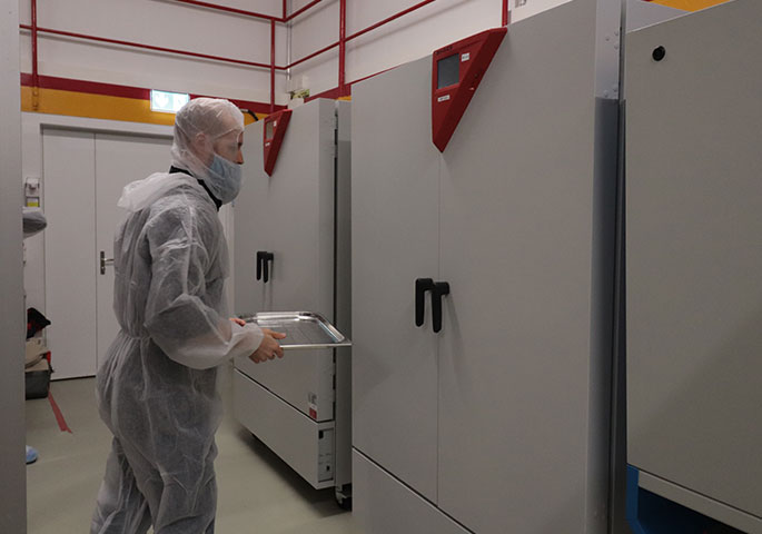 Técnico de laboratorio con equipo de protección y una bandeja delante de dos cámaras de clima constante BINDER.