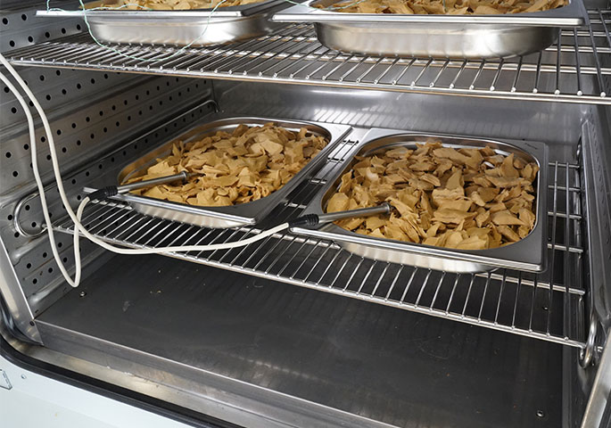 A look into the open climate chamber: trays containing samples of the meat alternative. 